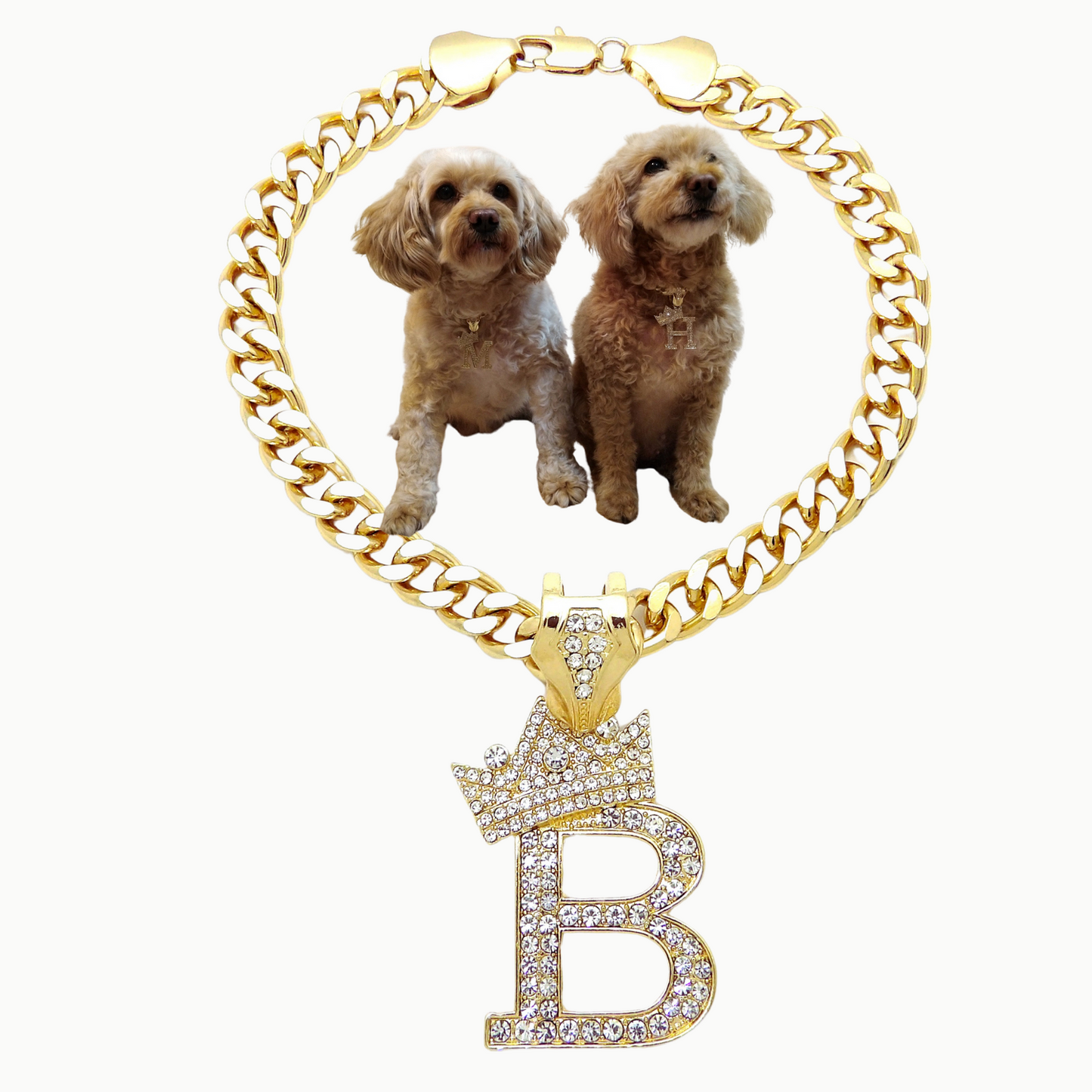 Initial-B-Dog-Necklace