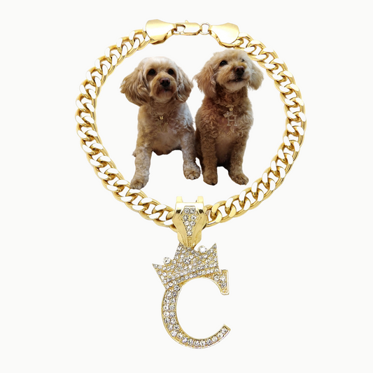 Initial-C-Dog-Necklace