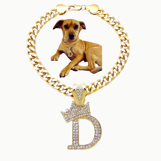 Initial-D-Dog-Necklace
