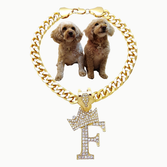 Initial-F-Dog-Necklace
