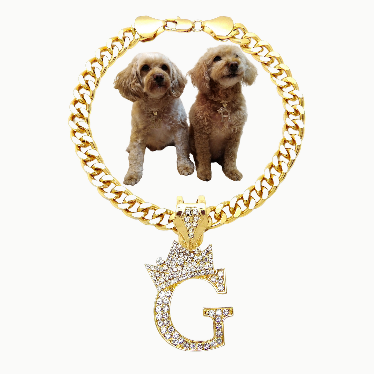 Initial-G-Dog-Necklace