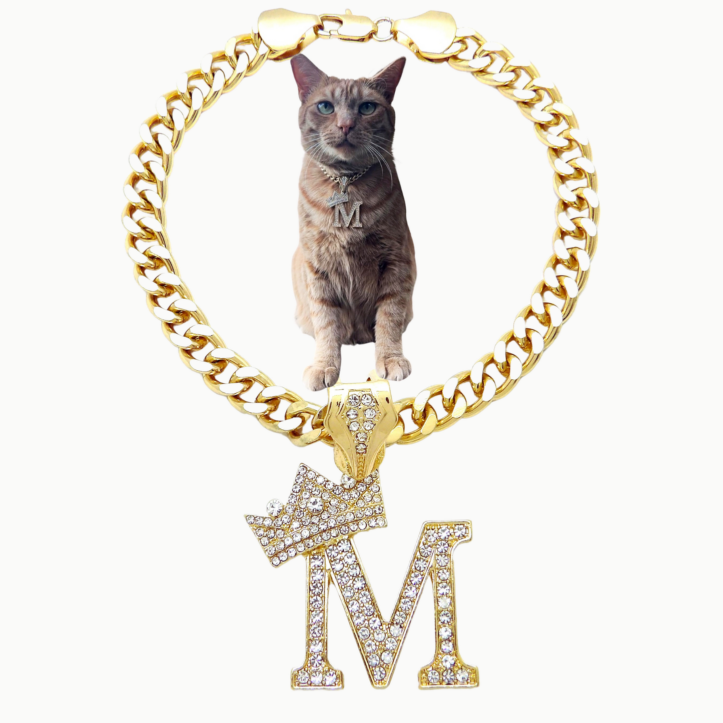 Initial-M-Dog-Necklace
