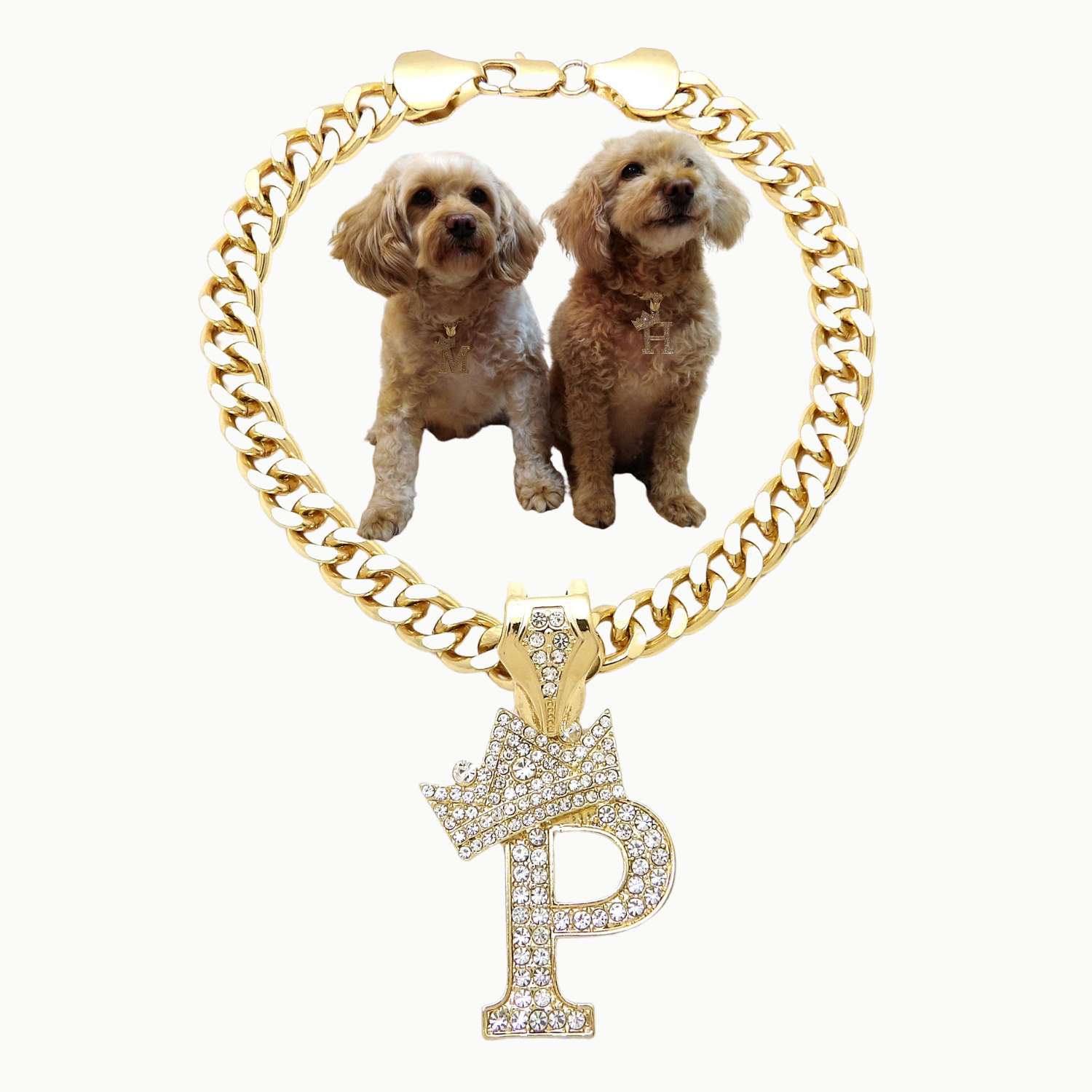 Initial-P-Dog-Necklace
