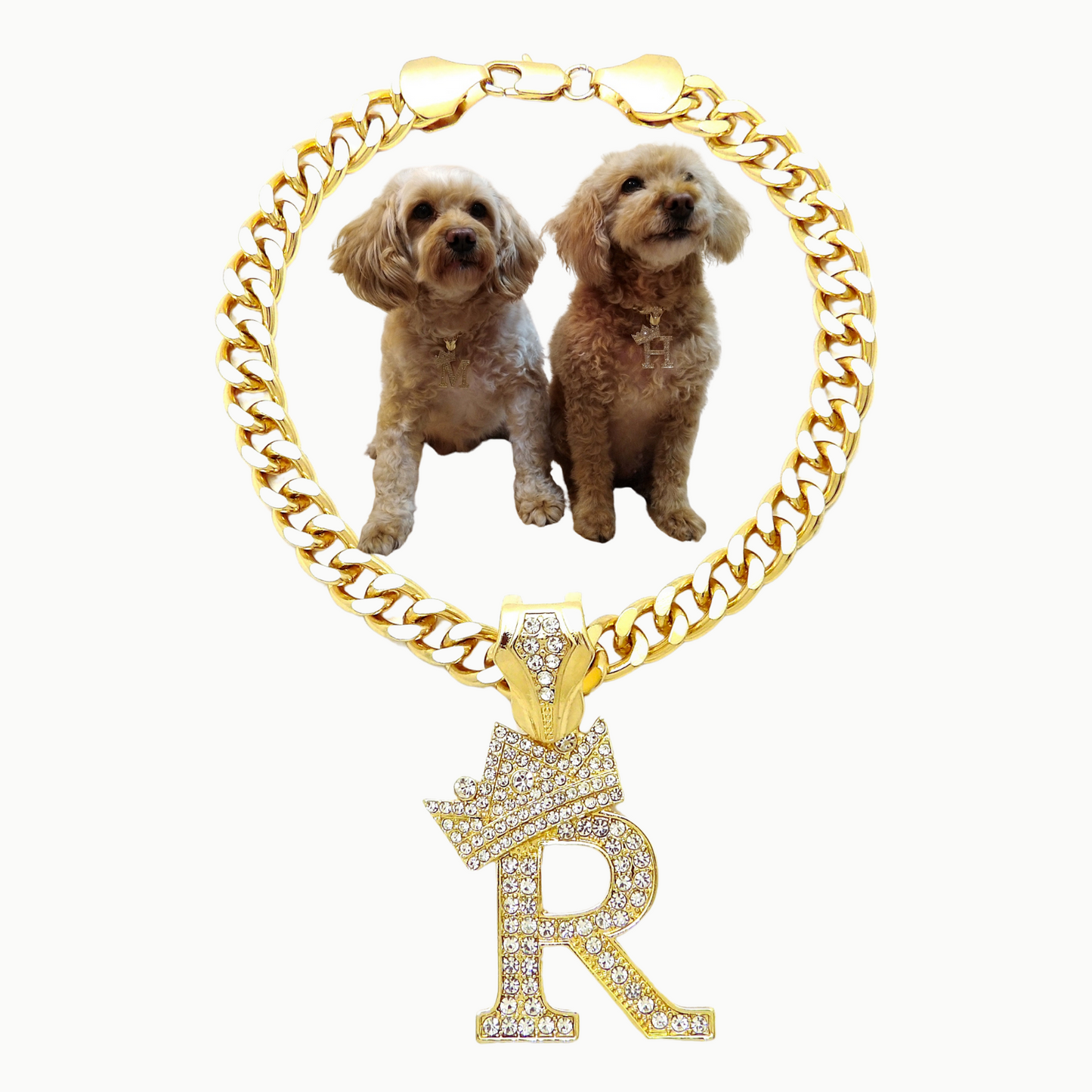 Initial-R-Dog-Necklace