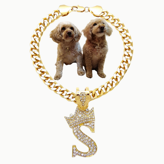 Initial-S-Dog-Necklace