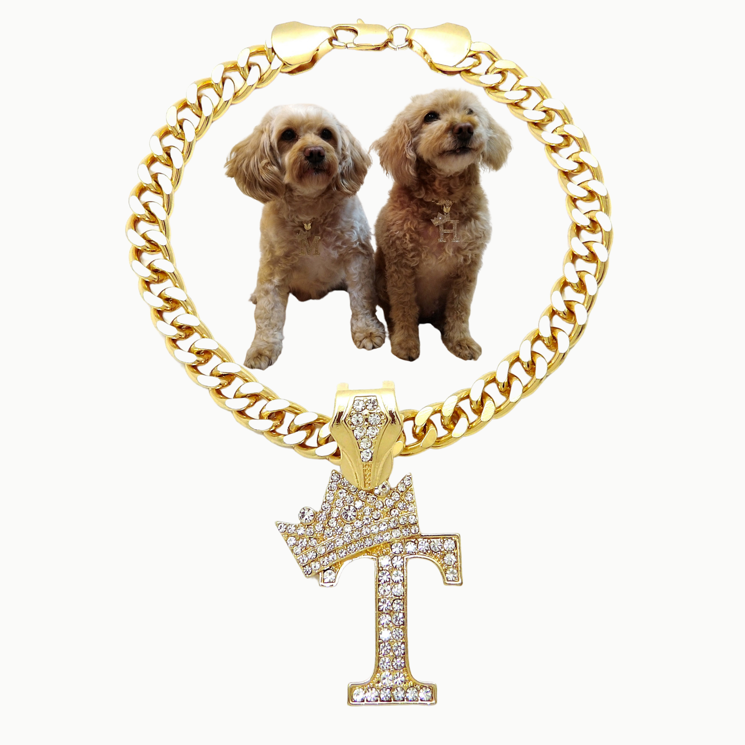Initial-T-Dog-Necklace