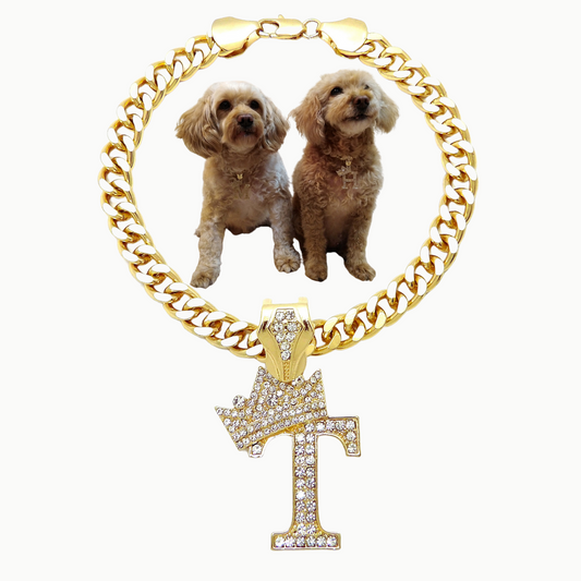 Initial-T-Dog-Necklace