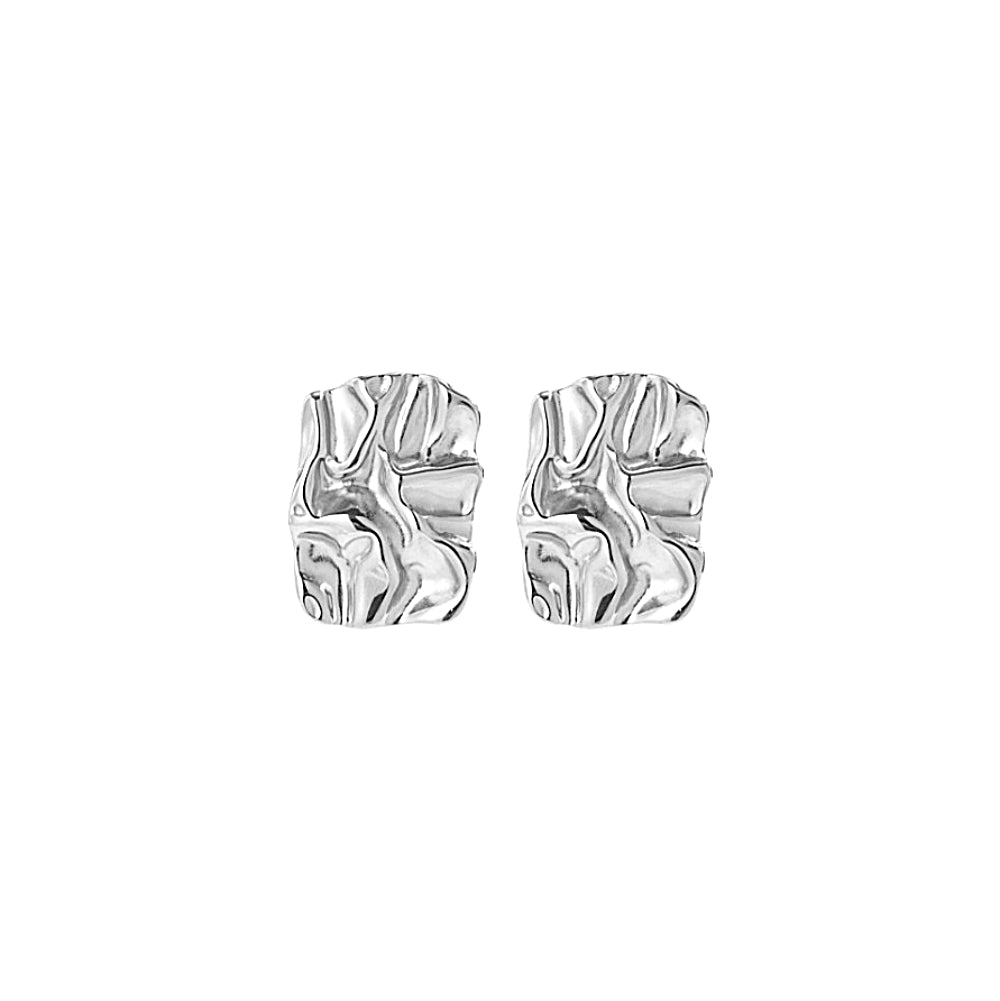 Pair of silver earrings on a white background