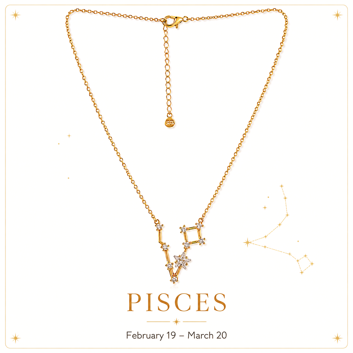 A gold necklace with a Pisces zodiac sign pendant, displayed on a clean white background with decorative gold stars and the text 'PISCES February 19 - March 20'.