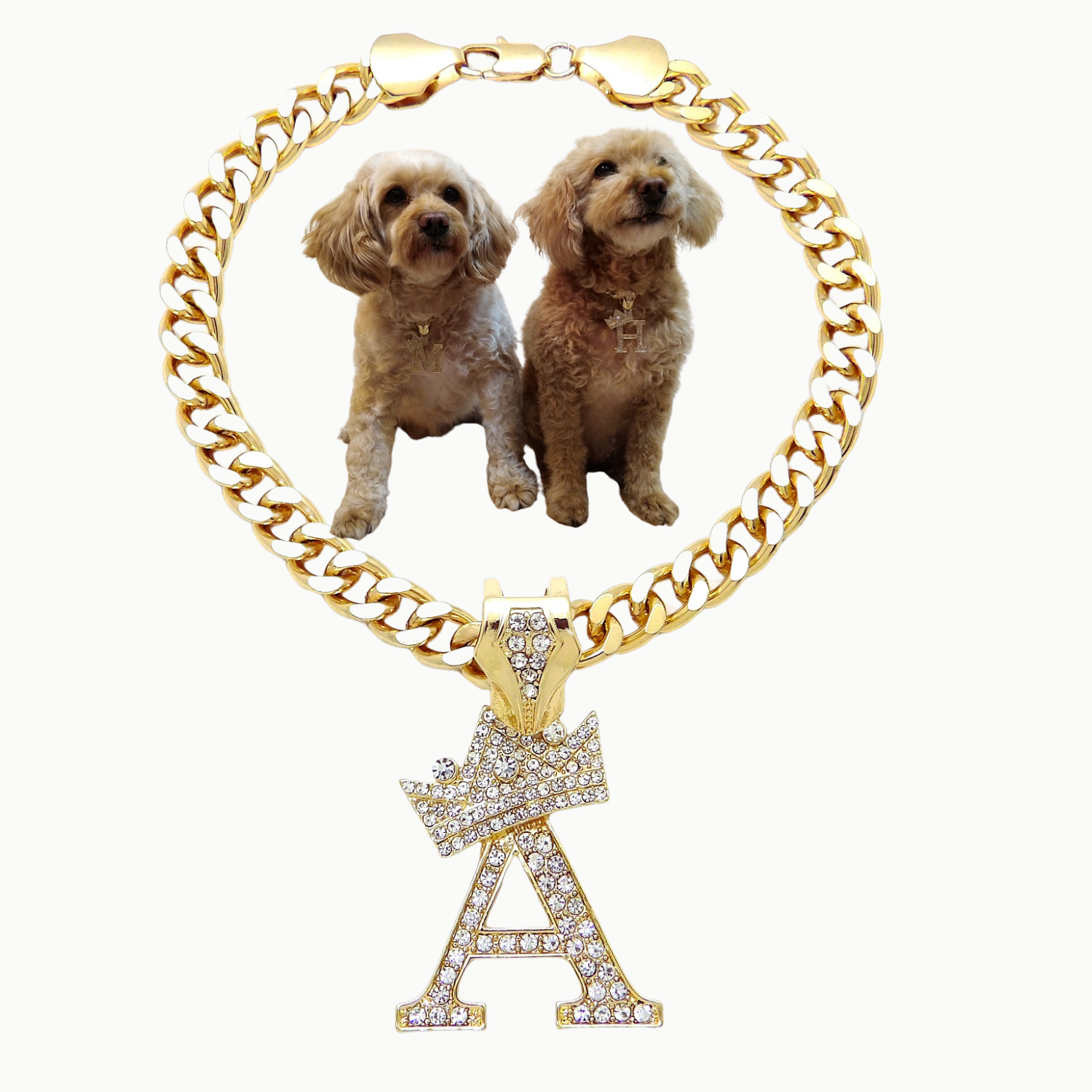 Initial-A-Dog-Chain-Necklace