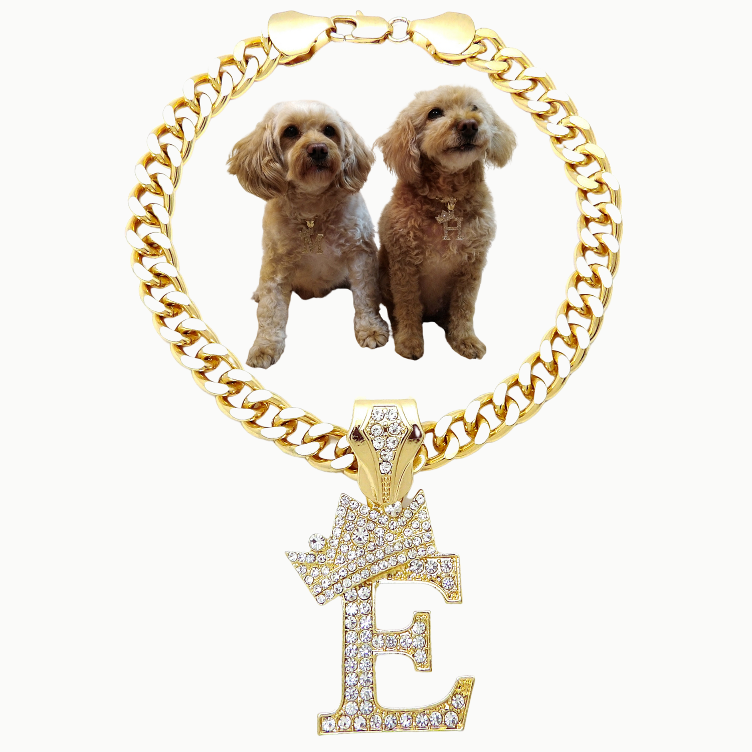 Initial-E-Dog-Necklace