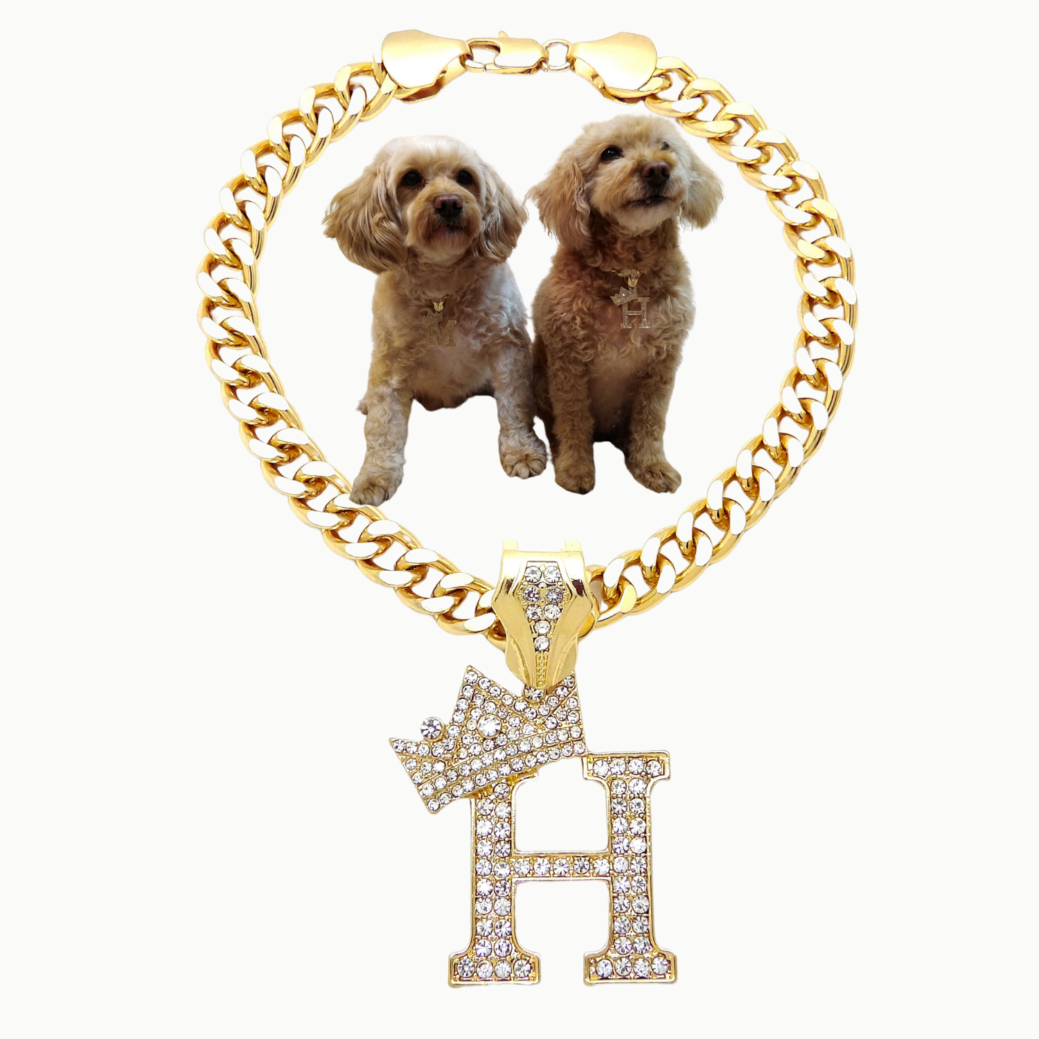 Initial-H-Dog-Necklace