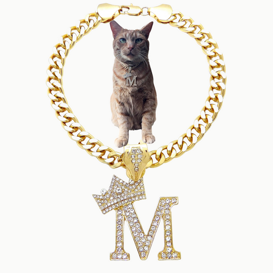 Initial-M-Dog-Necklace