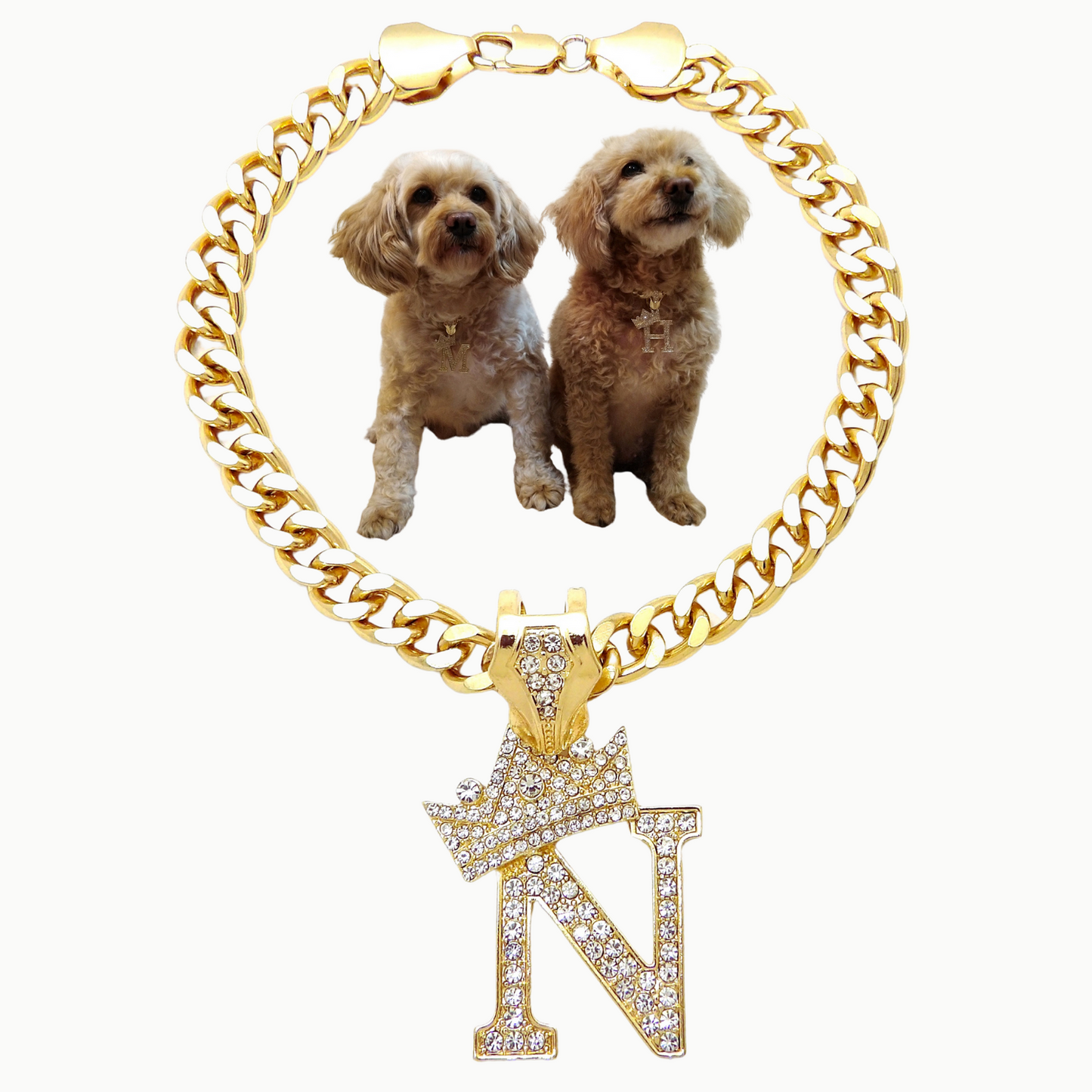 Initial-N-Dog-Necklace