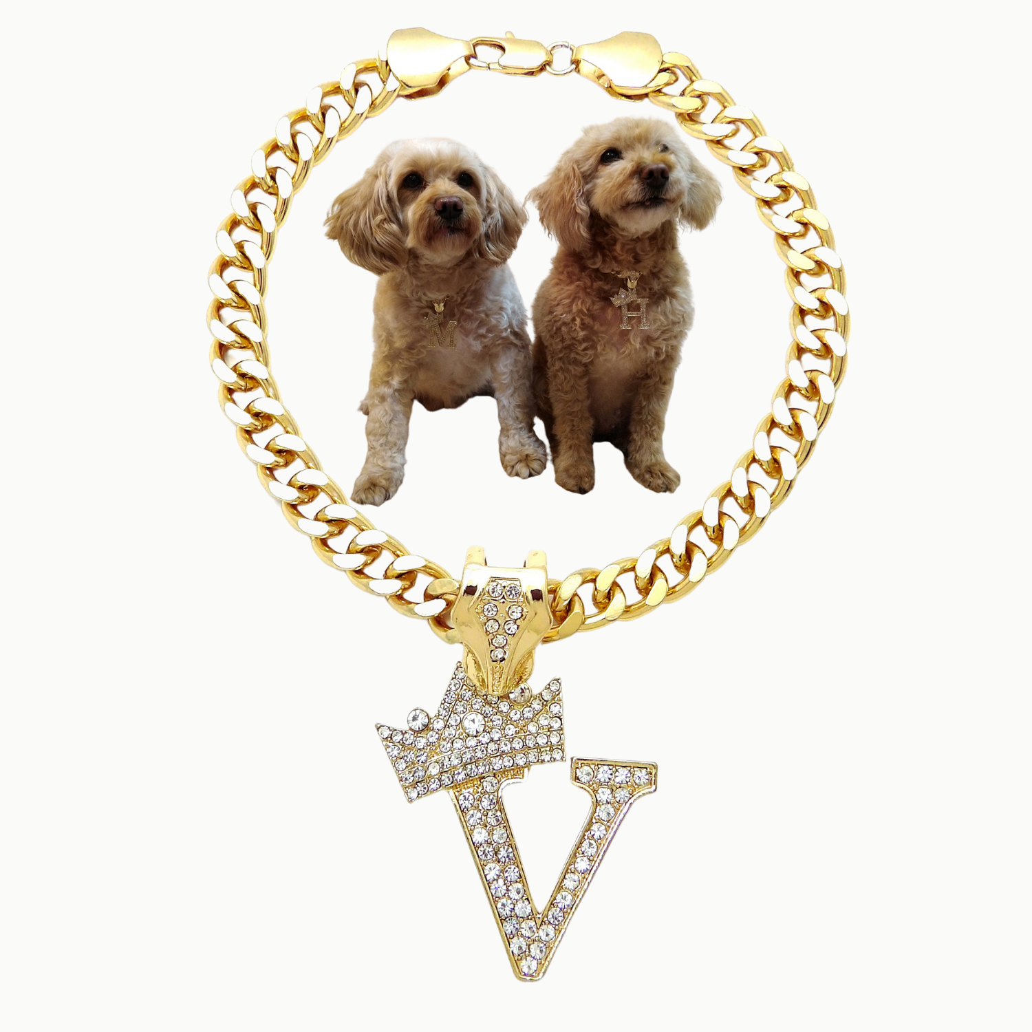 Initial-V-Dog-Necklace